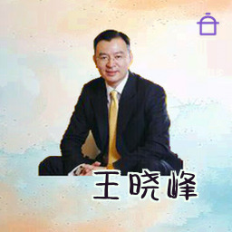王晓峰